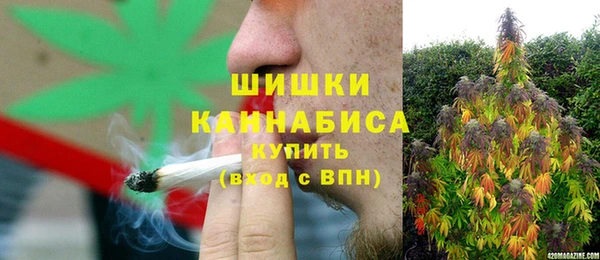 не бодяженный Бородино
