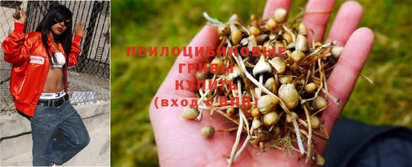 герыч Богданович